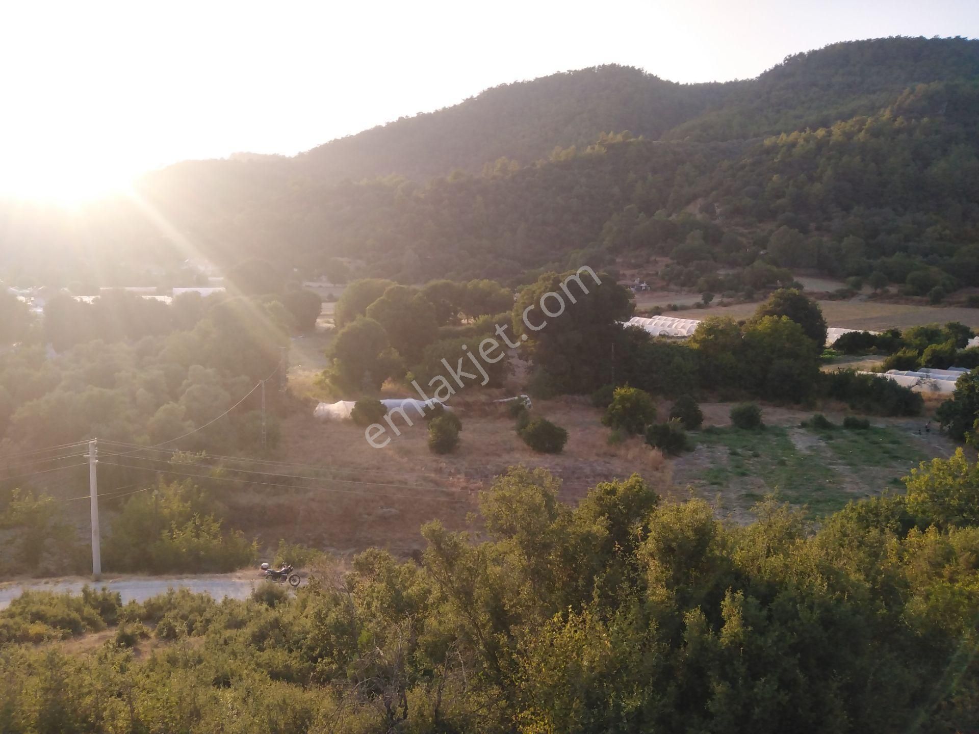 Muğla Gökova Elmalı'da Konut İmarlı Arsa - Görsel 3
