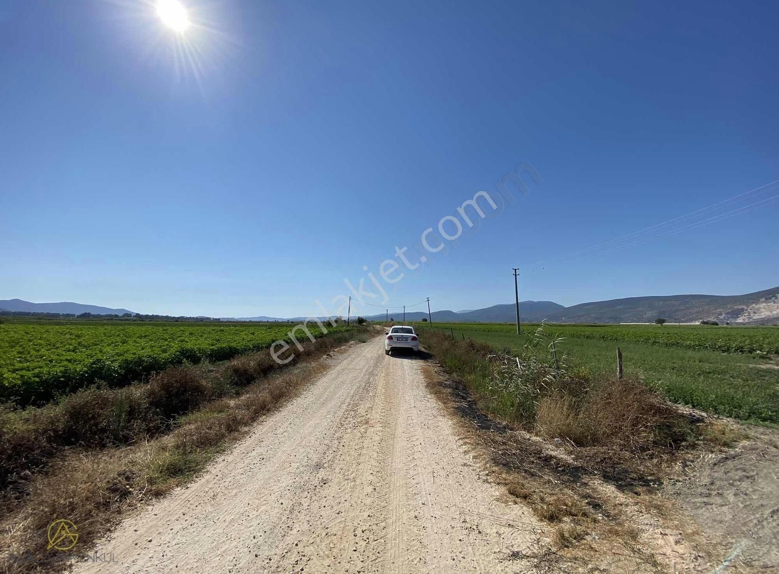 Milas Koru Satılık Tarla ALÂ'DAN KORU'DA SATILIK TARLA