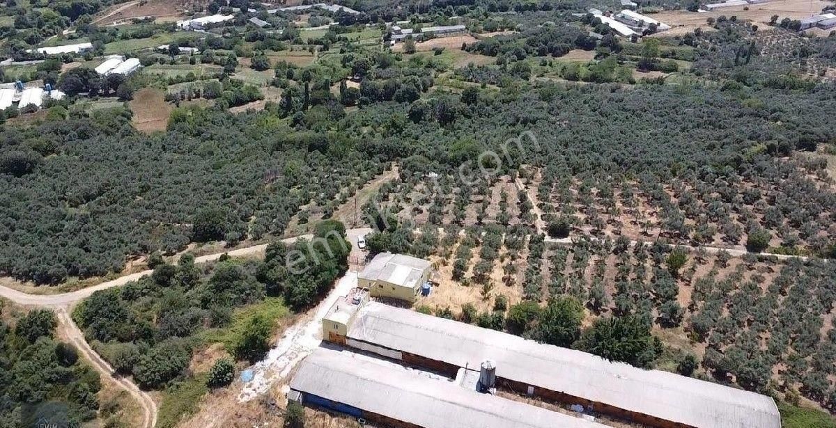 Erdek Karşıyaka Satılık Müstakil İşyeri Evim Gayrimenkul 'den Satılık Tavukhane