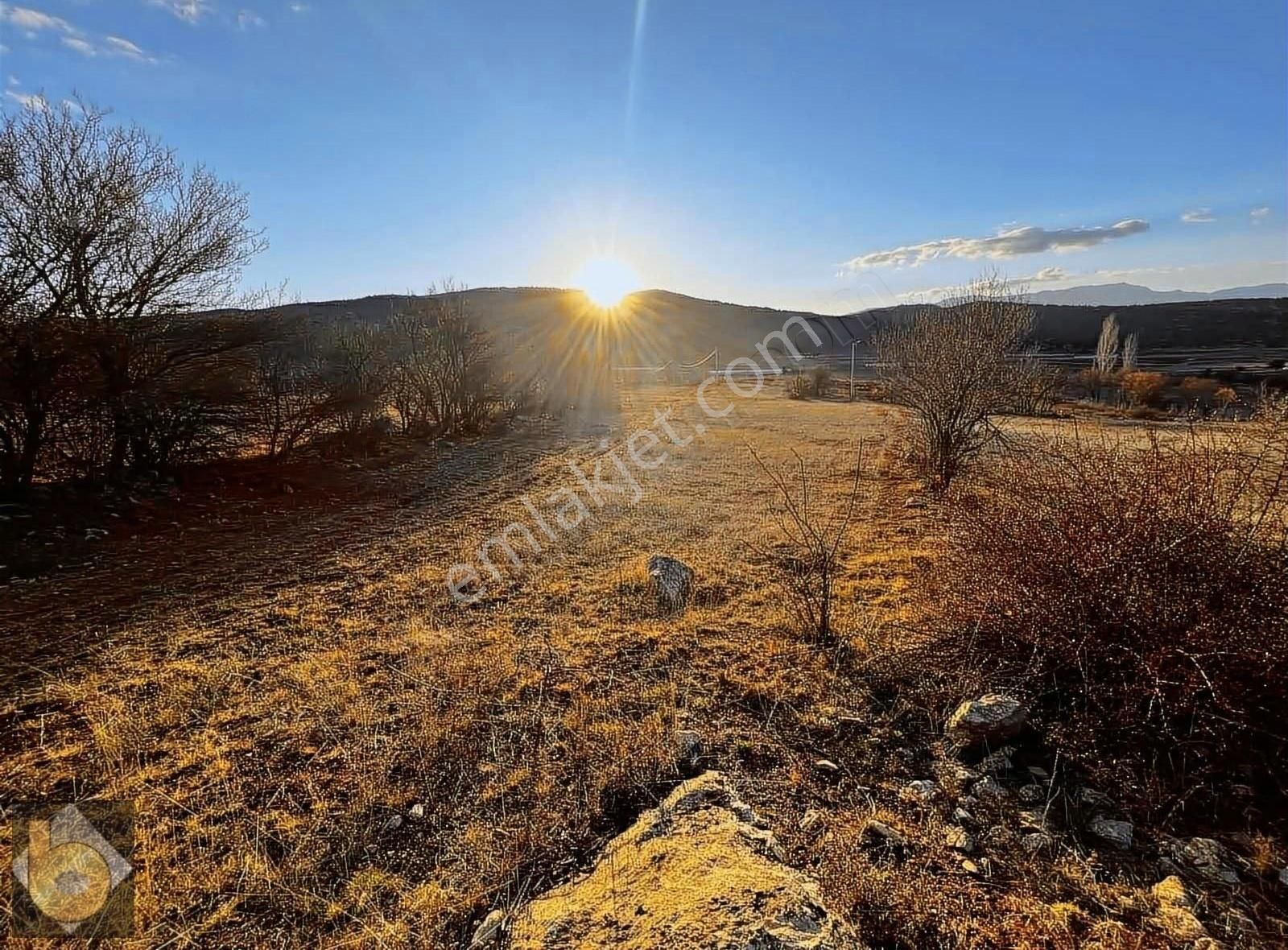 Seydikemer Doğanlar Satılık Tarla Seydikemer Doğanlarda 3029m2 Tek Tapu Yola Cephe Tarla