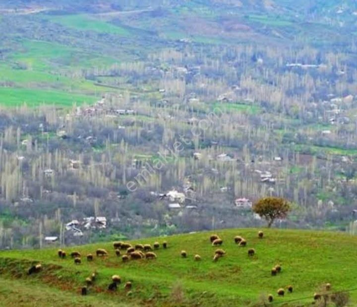 Şebinkarahisar Kavaklar Satılık Tarla  ŞEBİNKARAHİSAR MERKEZE YAKIN KONUMDA SATILIK ARSA