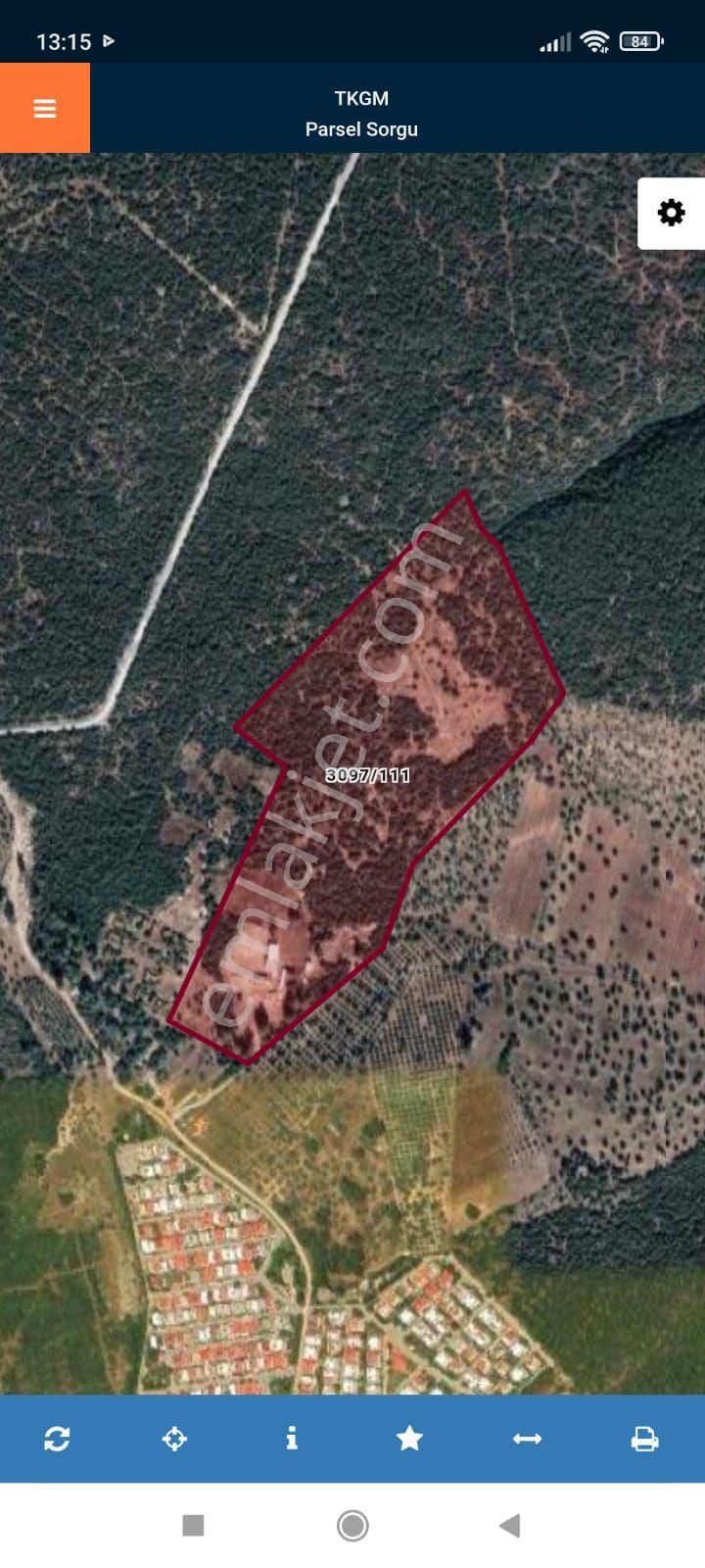 Aydın Didim Fevzipaşada Mükemmel Konumda Satılık Zeytinlik - Görsel 3