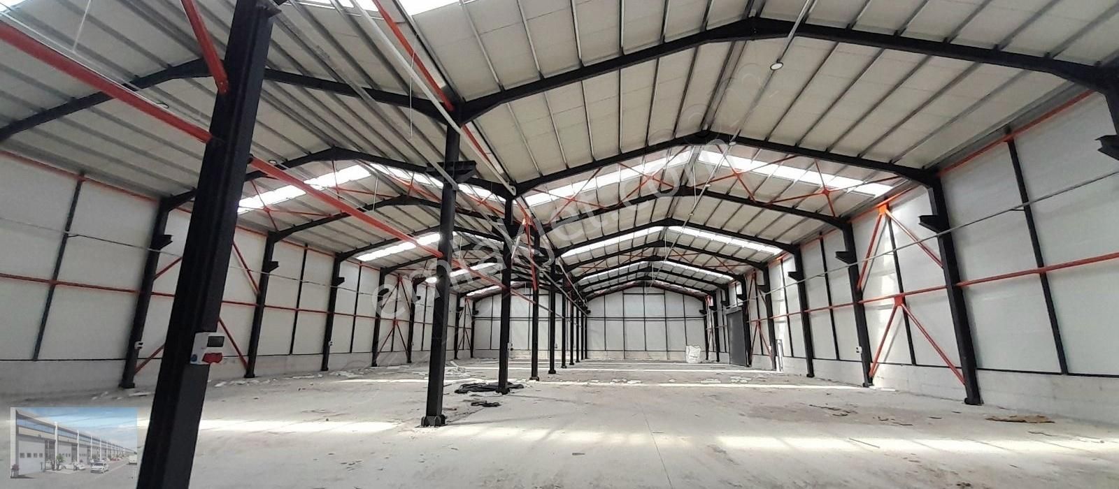 Arifiye De 6000 M2 Arsa , 2000 M2 Kapalı,400 Kw Mustakil Depo - Görsel 2