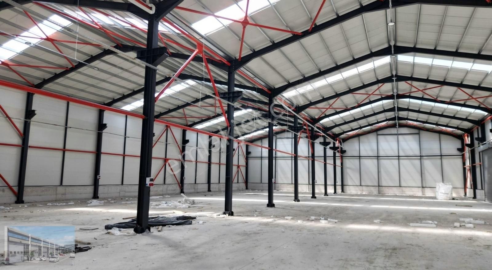 Arifiye De 6000 M2 Arsa , 2000 M2 Kapalı,400 Kw Mustakil Depo - Görsel 9