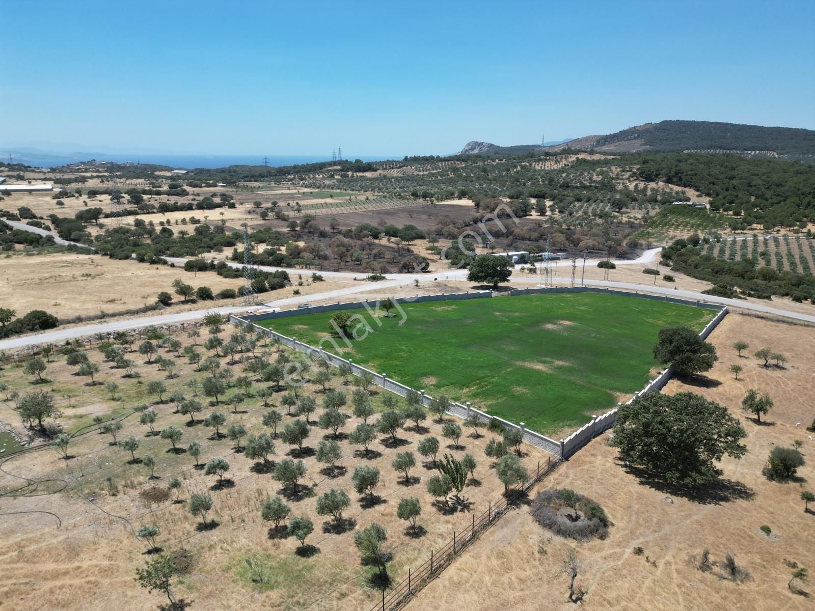 Bergama Örlemiş Satılık Tarla  BERGAMA ÖRLEMİŞ'TE ŞAKRANA 10 DAKİKA MESAFEDE 18 DÖNÜM ÇİFTLİK