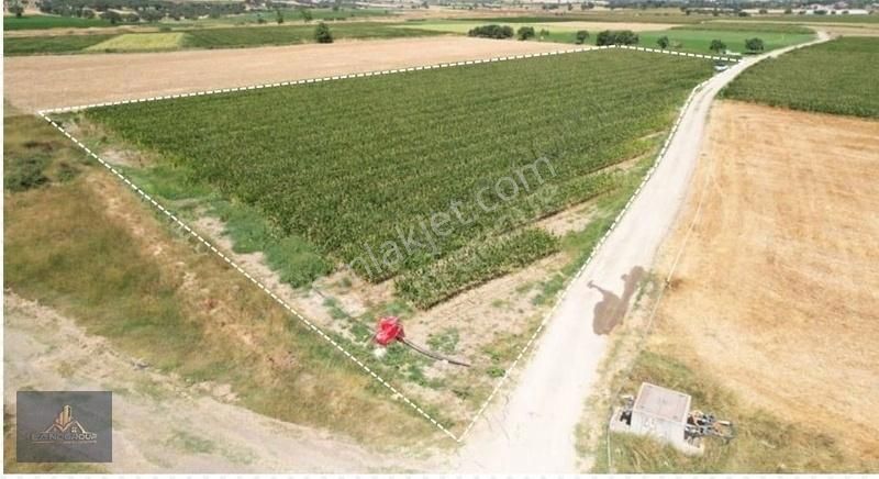 Çanakkale Merkez Halileli Köyü Satılık Tarla ÇANAKKALE MERKEZ HALİLELİ KÖYÜ SATILIK TARLA