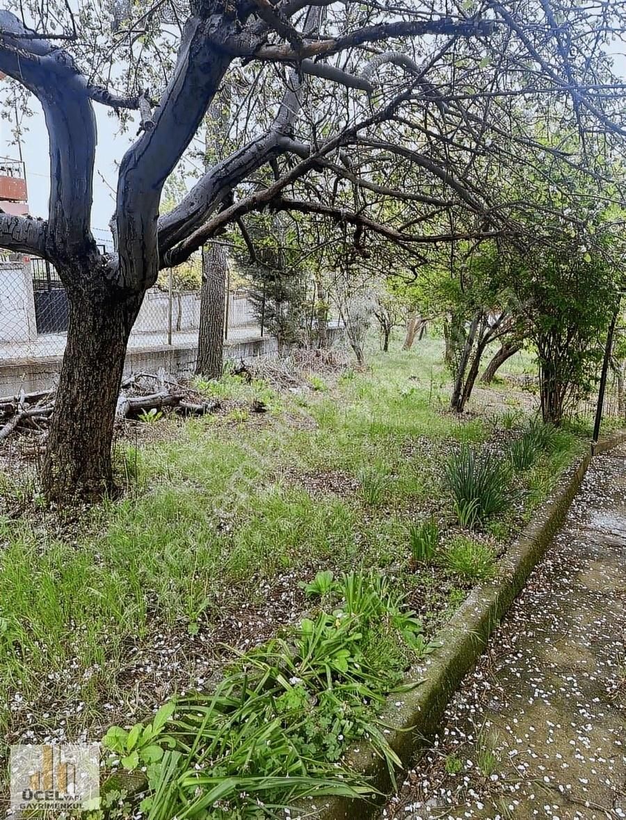 Arnavutköy Terkos Mahallesinde 760m2 Satılık Müstakil Bahçeli Ev - Görsel 28