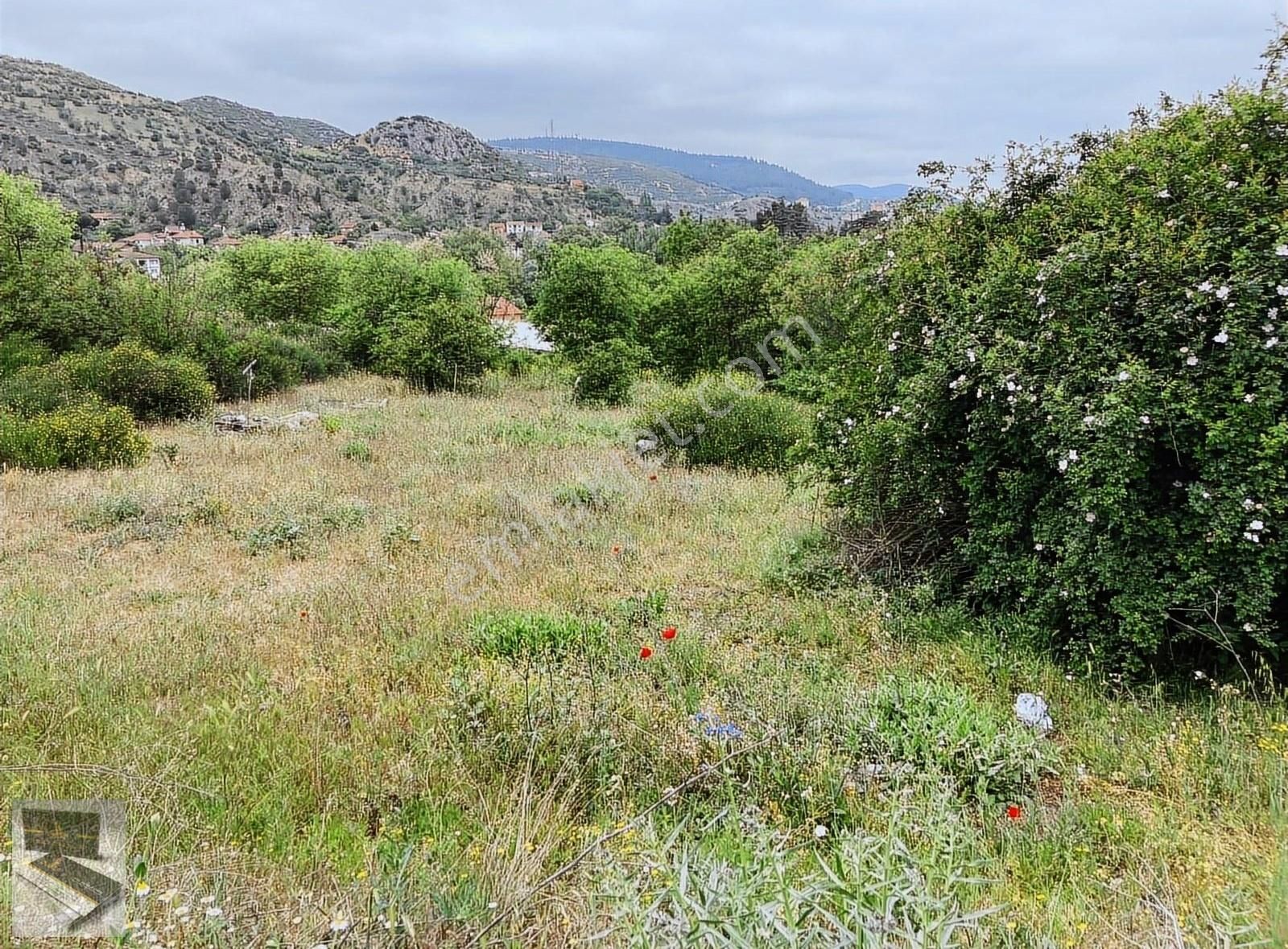 Bilecik Merkez Küplü Köyü (Merkez) Satılık Bağ & Bahçe Bilecik Küplü Şehirlerarası Otoyolun Hemen Yanında 1192 M2 Bahçe