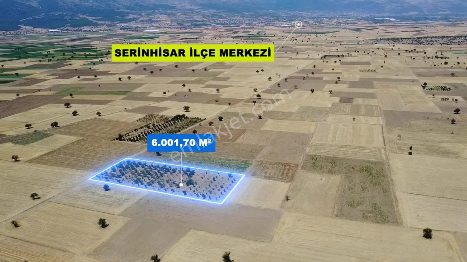 Serinhisar Yüreğil Satılık Bağ & Bahçe Denizli/serinhisar Yüreğil Mahallesinde Satılık Elma Bahçesi