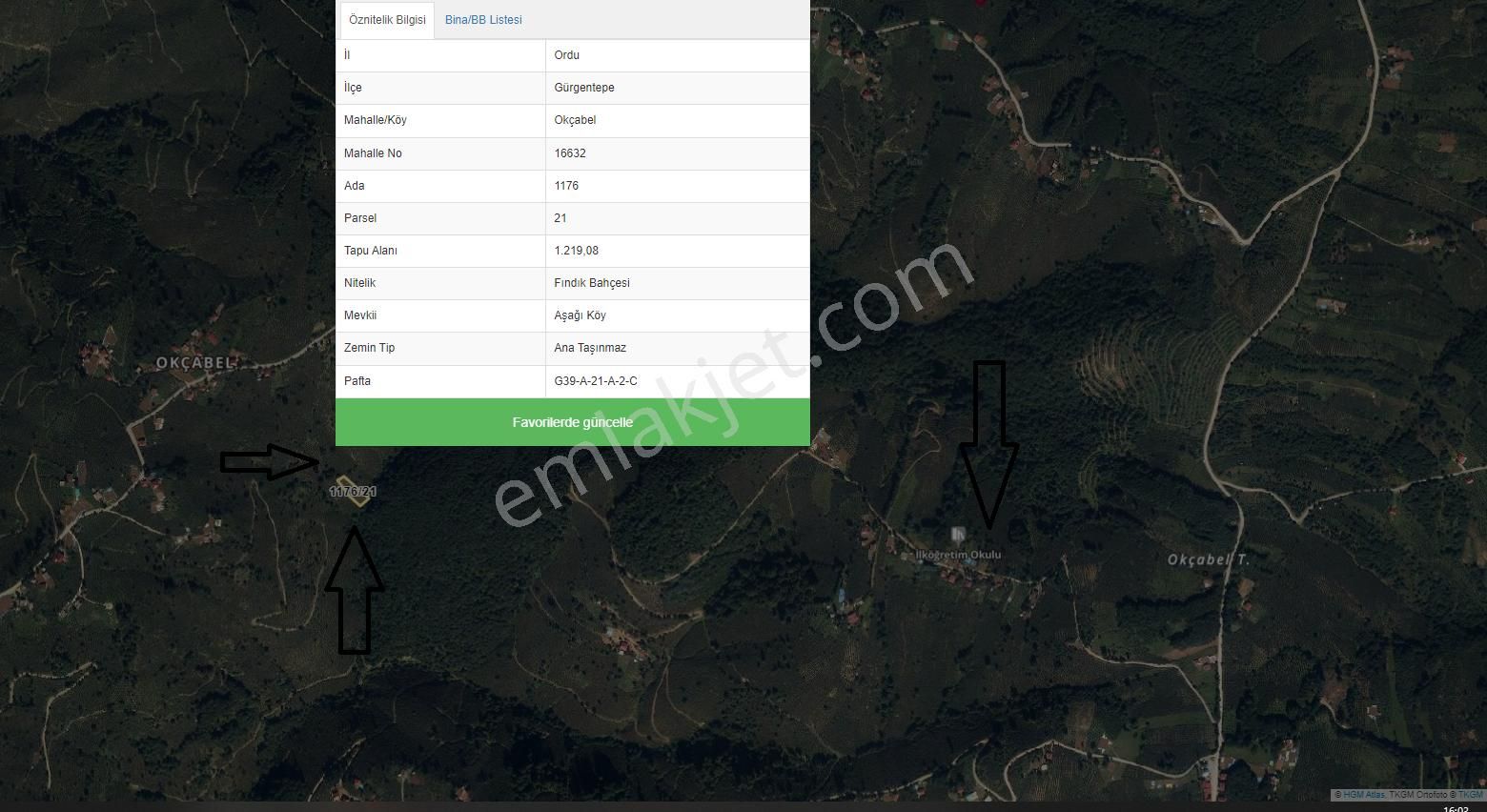 Ordu'da Tek Tapu 1.219,08 M² Fındık Bahçesi..! Yerleşime Yakın..!