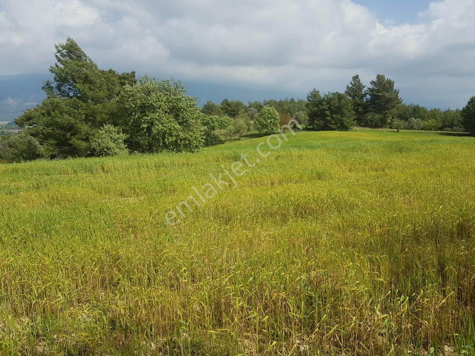 Seydikemer Eşen Satılık Tarla Stop’tan Seydikemer Beşiktaş Mevkiinde 7948 M2 Satılık Arsa