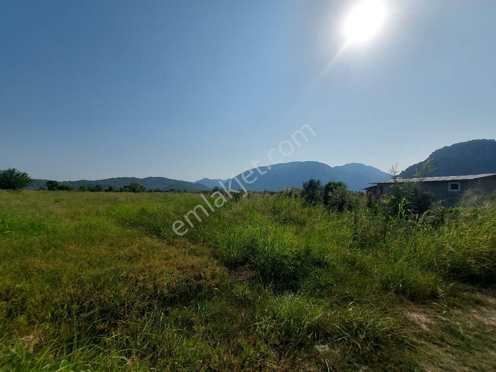 Ortaca Mergenli Satılık Arazi  Ortaca Mergenlide Müstakil Tapulu 11.000 m2 Kelepir Arazi Acil Satılık