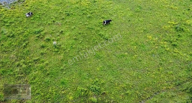 Erdek Karşıyaka Satılık Muhtelif Arsa ORMAN GÖLET MANZARALI,,, PRESTİJDEN SATILIK TIR