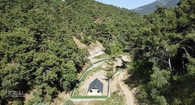 Kemalpaşa Yukarıkızılca Merkez Satılık Bağ & Bahçe Kemalpaşa Yukarı Kızılca'da Bungalov Evi Olan Satılık Arazi