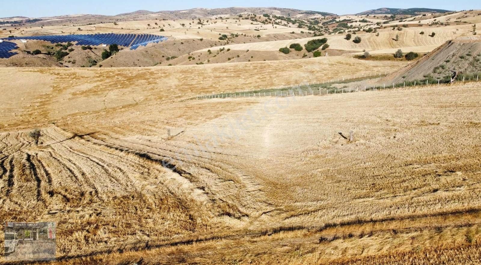 Akyurt Çardakbağı Satılık Tarla ÇARDAKBAGIN DA KOOPERATİF YAPMAYA AHIR YAPMAYA UYGUNDUR