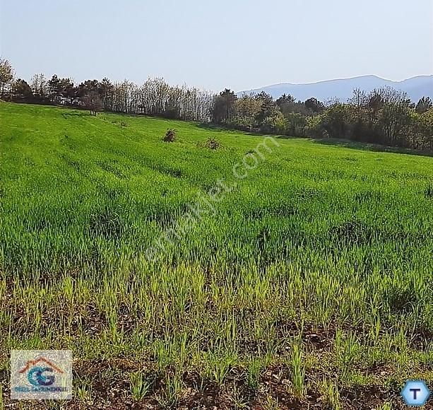 Taraklı Esenyurt Satılık Konut İmarlı GÖZEL GAYRİMENKULDEN SAKARYA TARAKLI ESENYURT MH.347 M2 ARSA