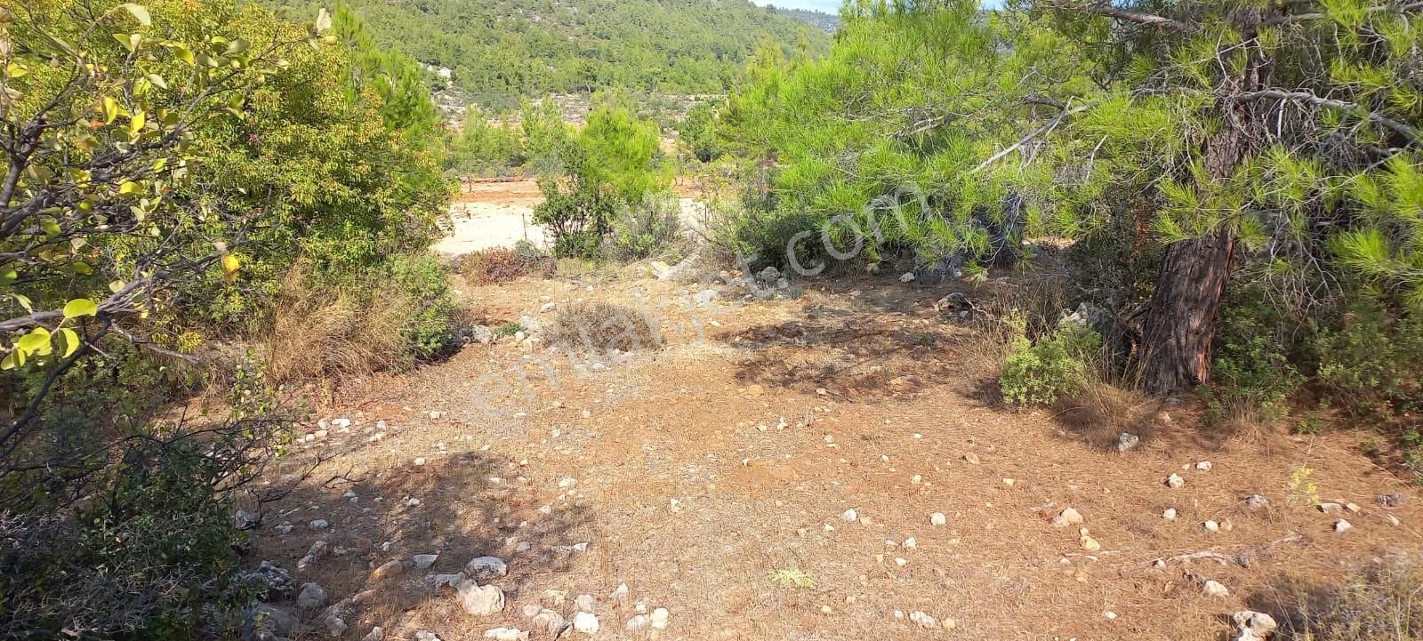 Karaseki Köyü 1400 M² Müstakil Tapu - Görsel 6