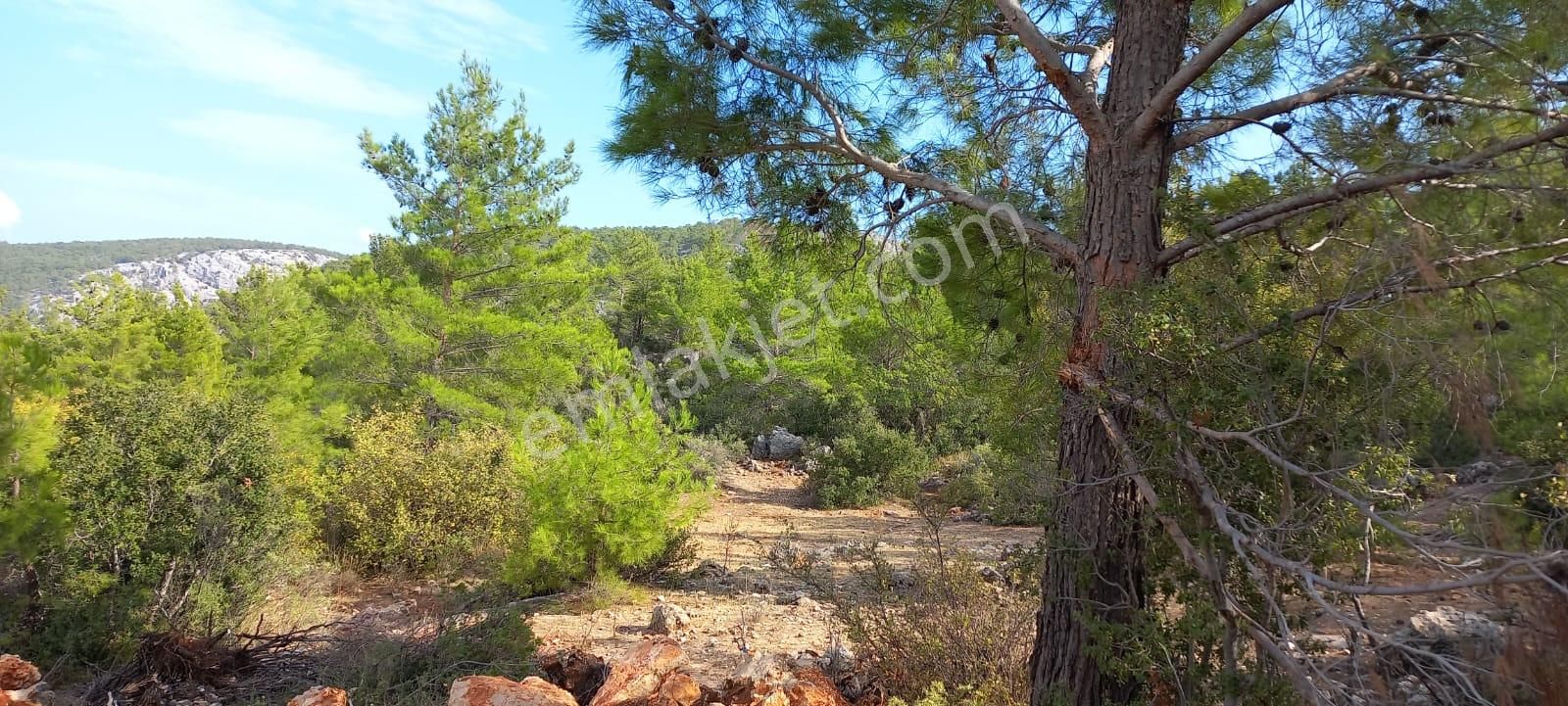 Karaseki Köyü 1400 M² Müstakil Tapu - Görsel 2