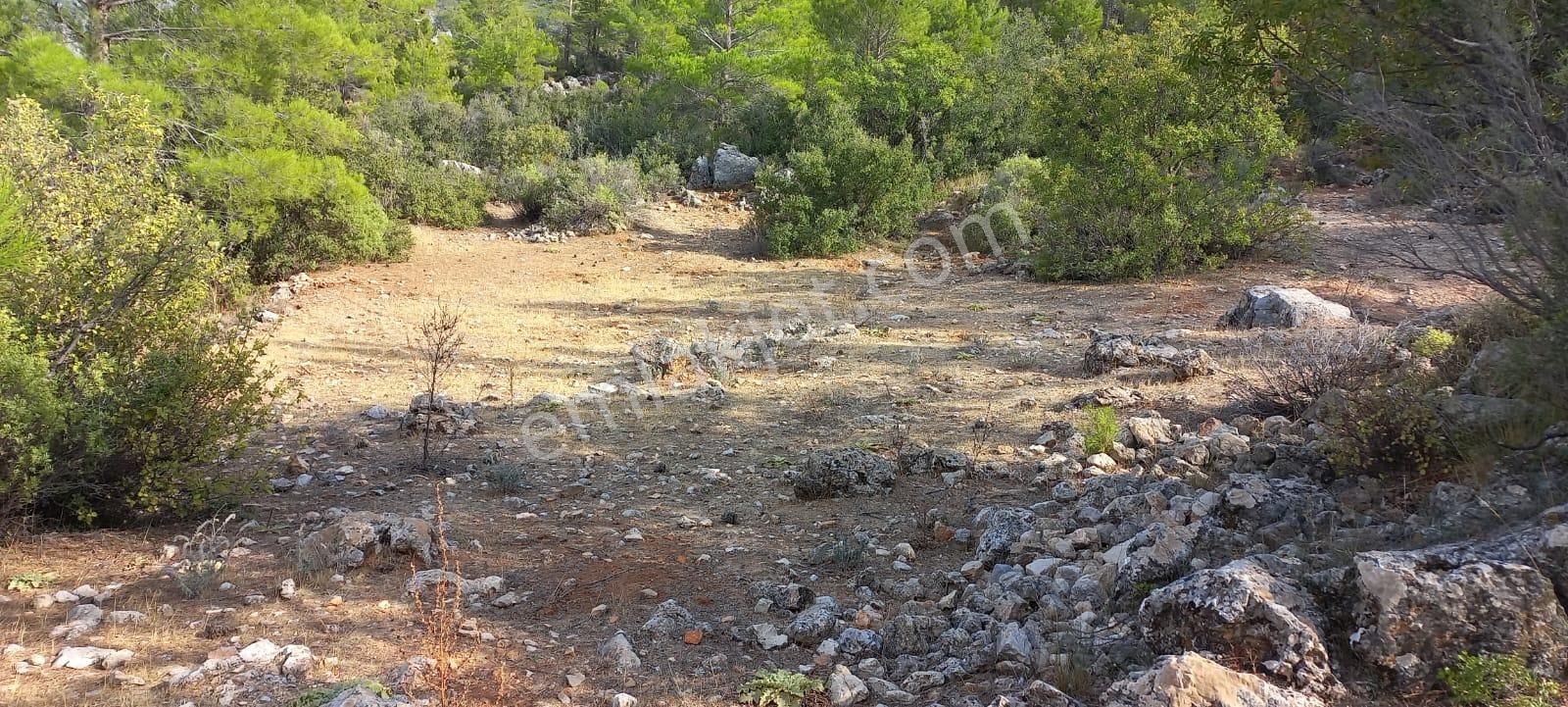 Karaseki Köyü 1400 M² Müstakil Tapu - Görsel 4
