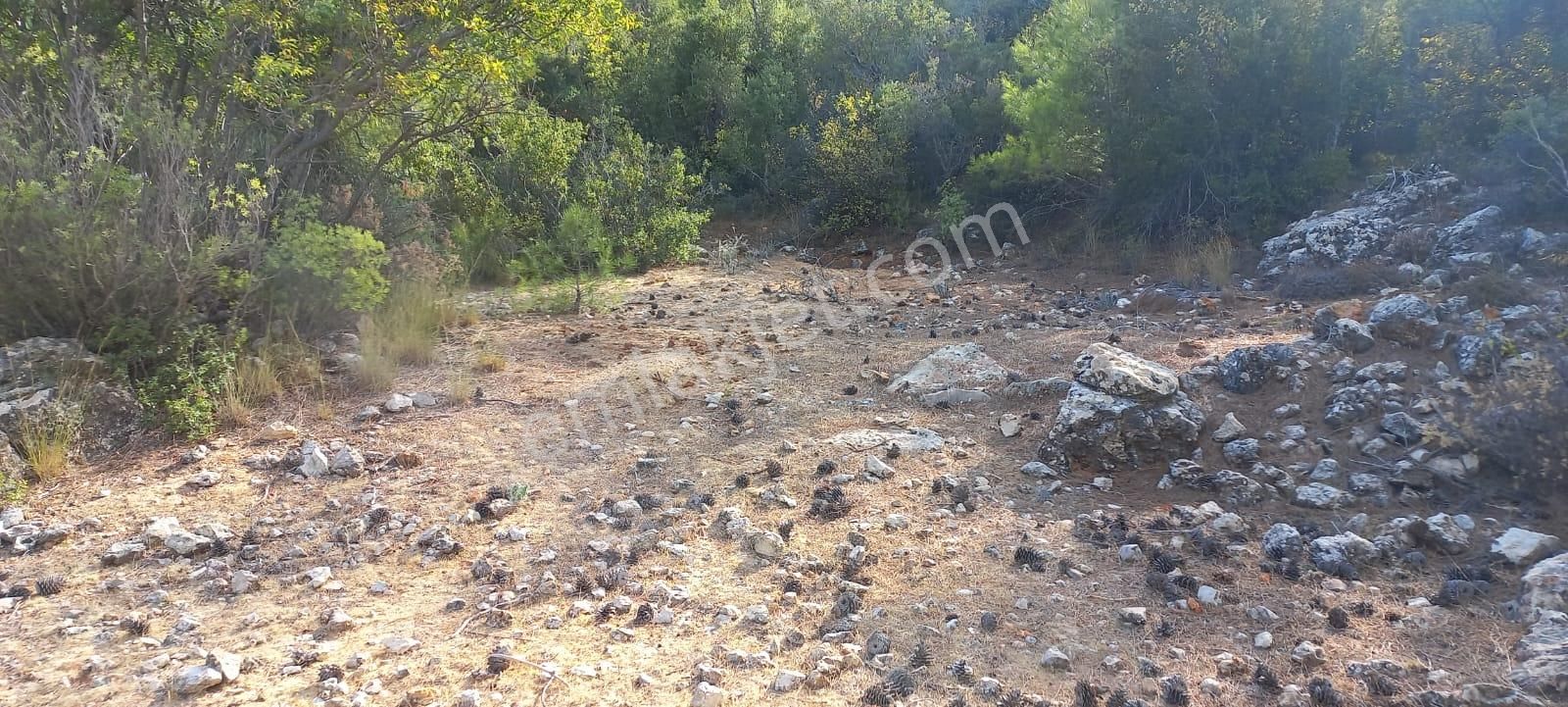 Karaseki Köyü 1400 M² Müstakil Tapu - Görsel 3