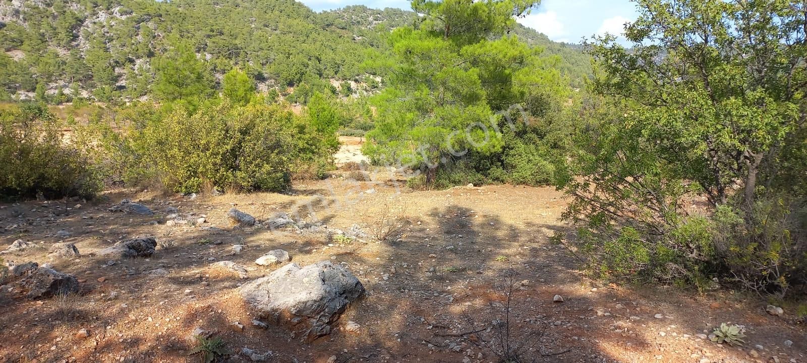 Karaseki Köyü 1400 M² Müstakil Tapu - Görsel 8