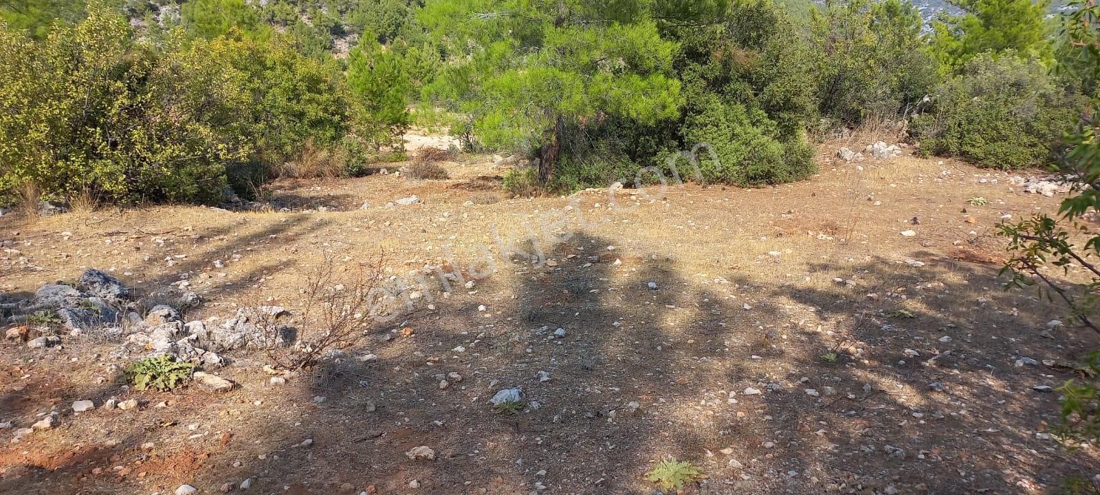 Karaseki Köyü 1400 M² Müstakil Tapu - Görsel 7
