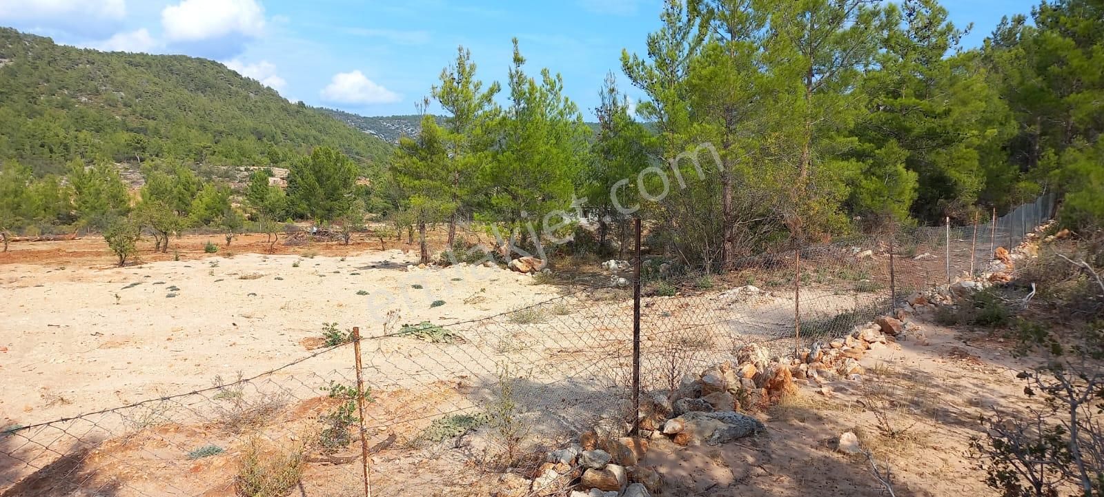 Karaseki Köyü 1400 M² Müstakil Tapu - Görsel 9