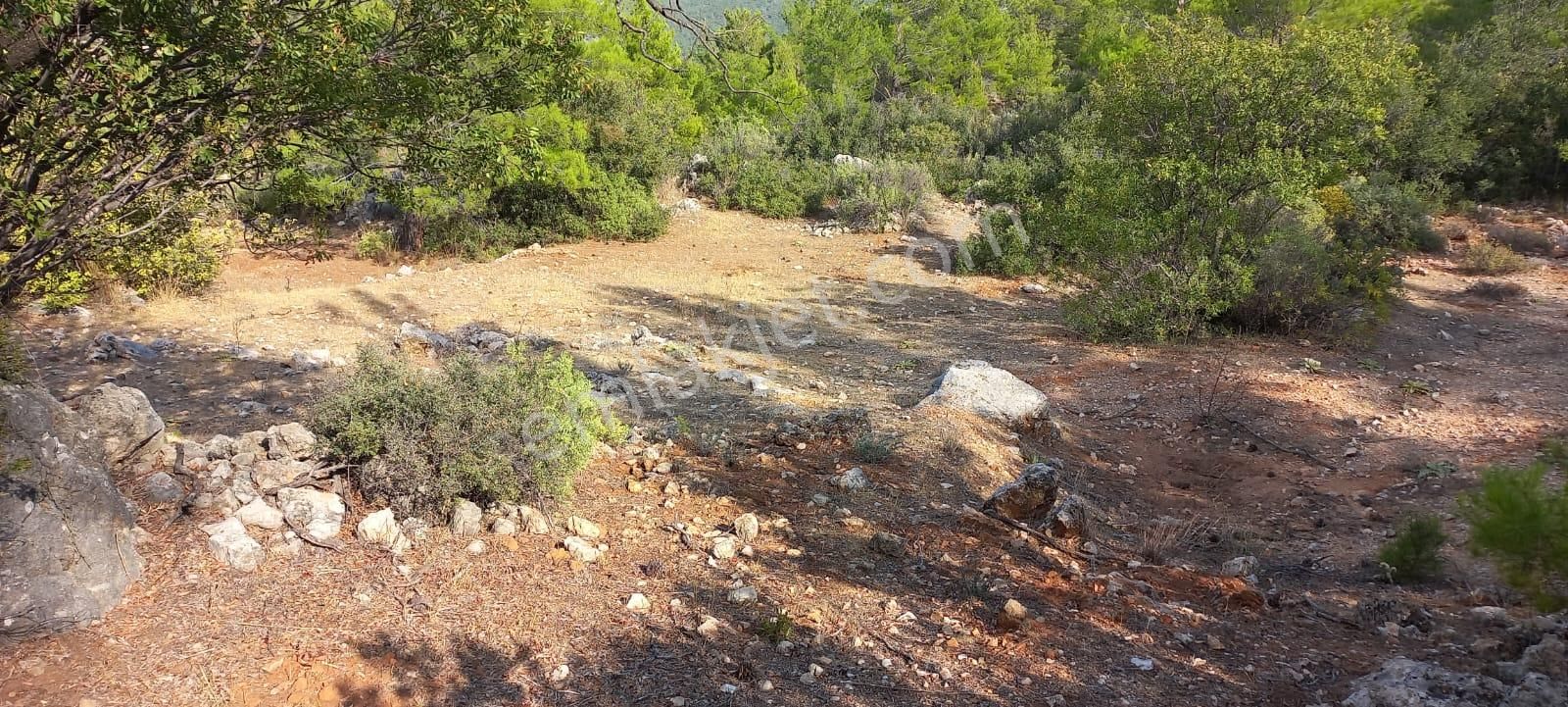 Karaseki Köyü 1400 M² Müstakil Tapu - Görsel 5