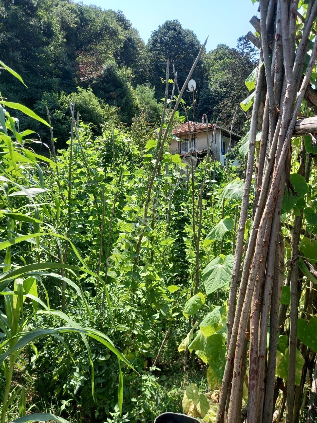 Beykoz Tokatköy Satılık Müstakil Ev OR-KAY GAYRİMENKUL'DEN SATILIK MÜSTAKİL EV BAHÇELİ