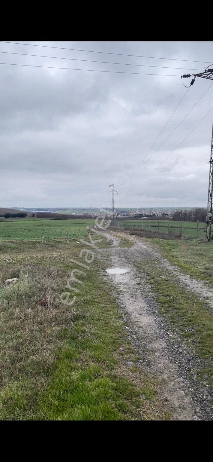 Silivri Beyciler 1000 M2 - Görsel 4