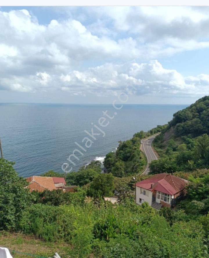 Perşembe Ramazan Mahallesi İmarlı Satılık Arsa - Görsel 2