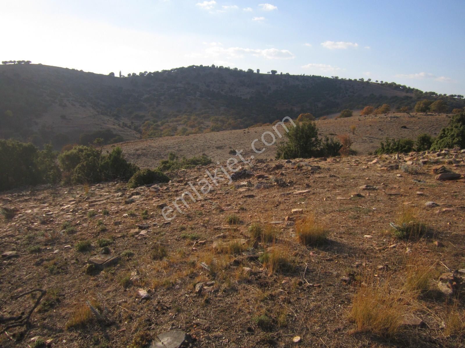 Karacasu Ataeymir Satılık Arazi Satılık arazi