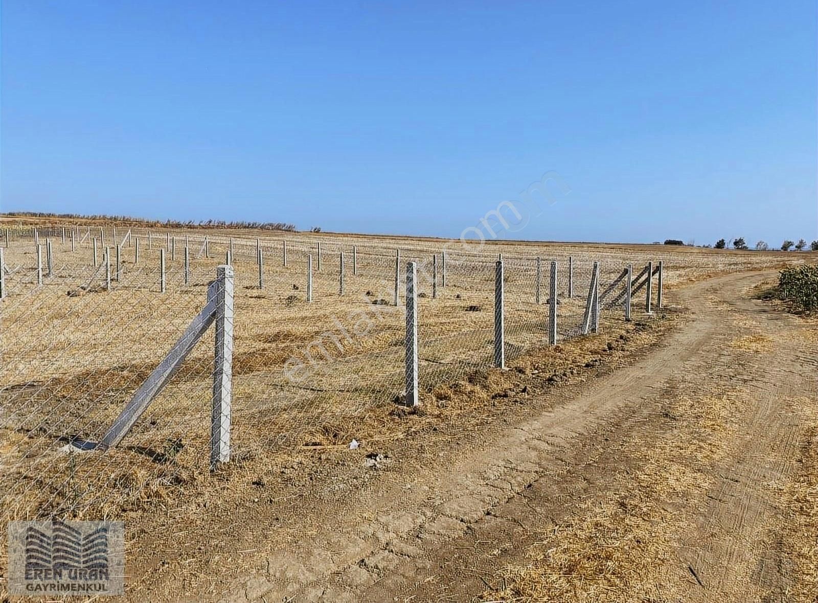 Marmaraereğlisi Cedit Ali Paşa Satılık Tarla Tekirdağ Marmaraereğlisi Süper Konumda 250 M2 Arsa(videolu)