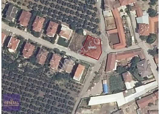 Mudanya Hasköy Satılık Villa İmarlı Mudanya Hasköy'de İmarlı Satılık Arsa