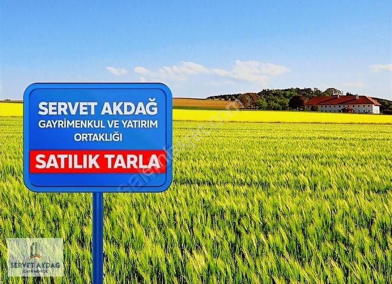 Yumurtalık Gölovası Satılık Tarla YUMURTALIK YILDIZI GÖLOVASI SATLIK 23.312M2 TEK TAPU LİMAN TARLA