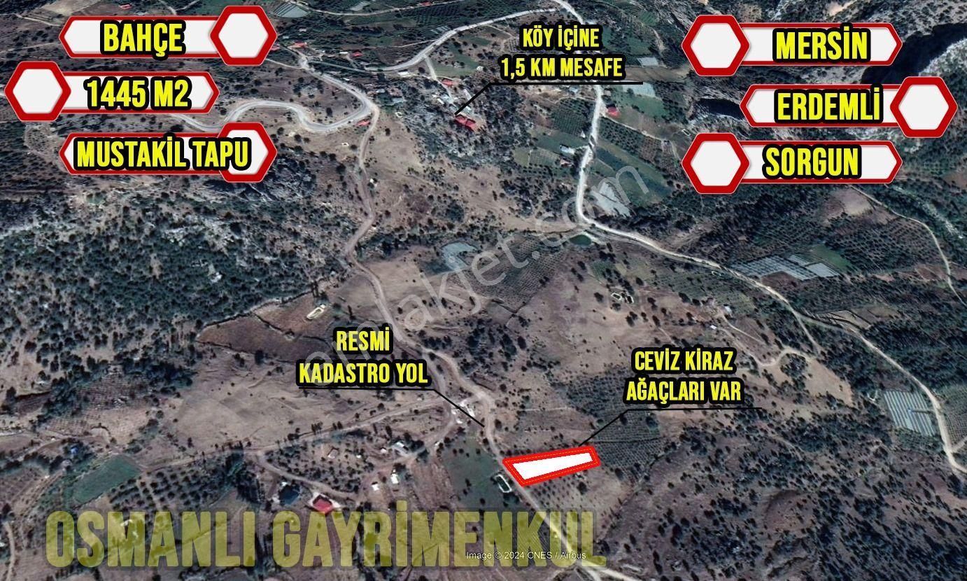 Erdemli Sorgun Satılık Tarla  ERDEMLİ BÜYÜK SORGUN MAHALLESİ SATILIK 1445 M2 BAHÇE