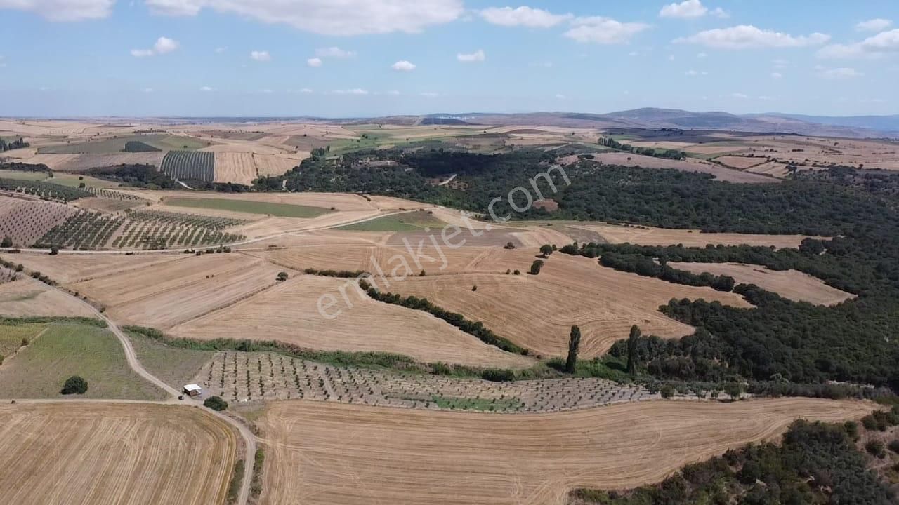 Gönen Havutça Satılık Tarla MAYADAN GAYRİMNKUL GÖNEN HAVUTÇADA SATILIK TARLA