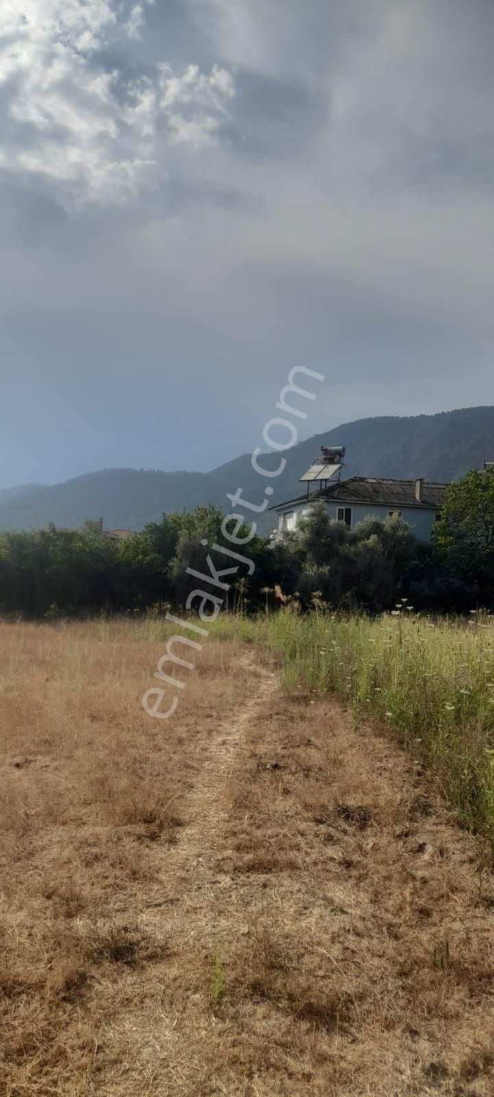 Muğla Köyceğiz Toparlar Mh 930m2 İmarlı Arsa - Görsel 6