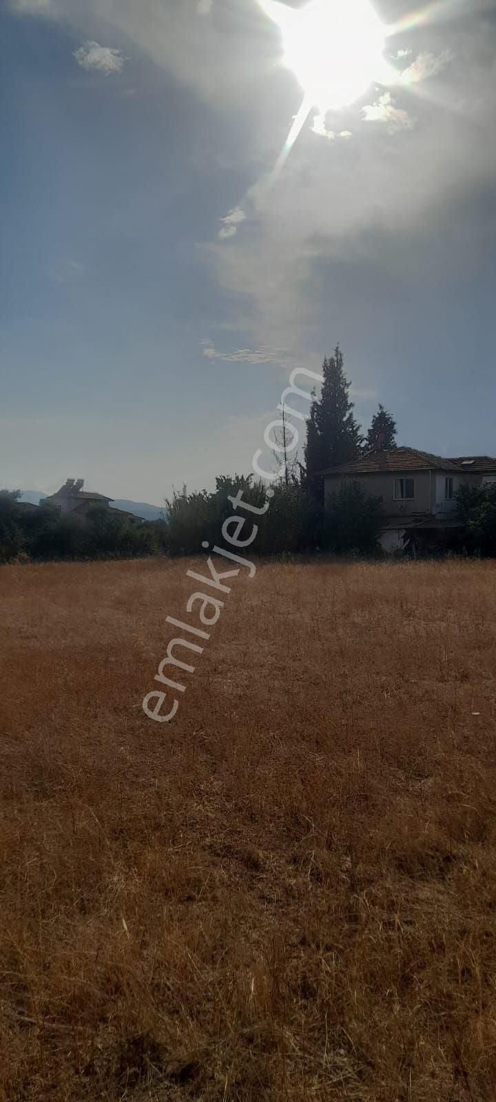 Muğla Köyceğiz Toparlar Mh 930m2 İmarlı Arsa - Görsel 11