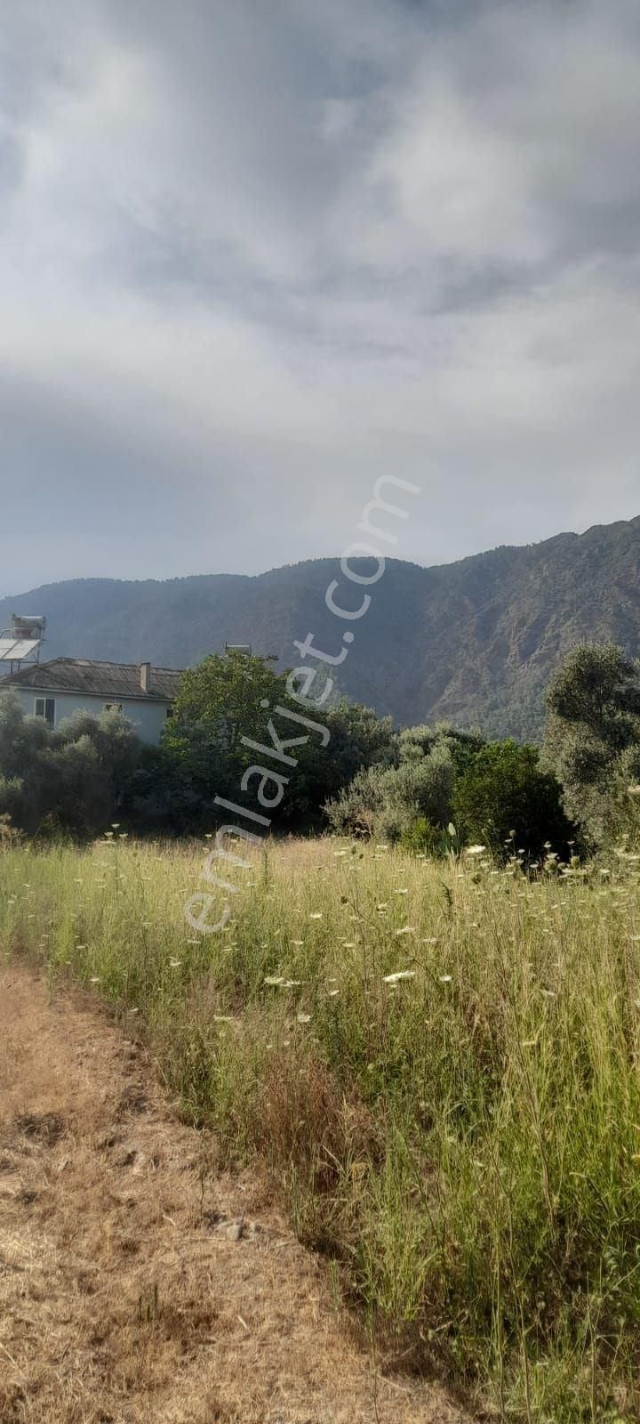 Muğla Köyceğiz Toparlar Mh 930m2 İmarlı Arsa - Görsel 10