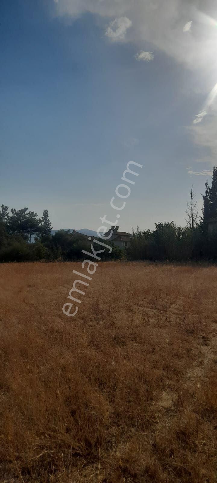 Muğla Köyceğiz Toparlar Mh 930m2 İmarlı Arsa - Görsel 9