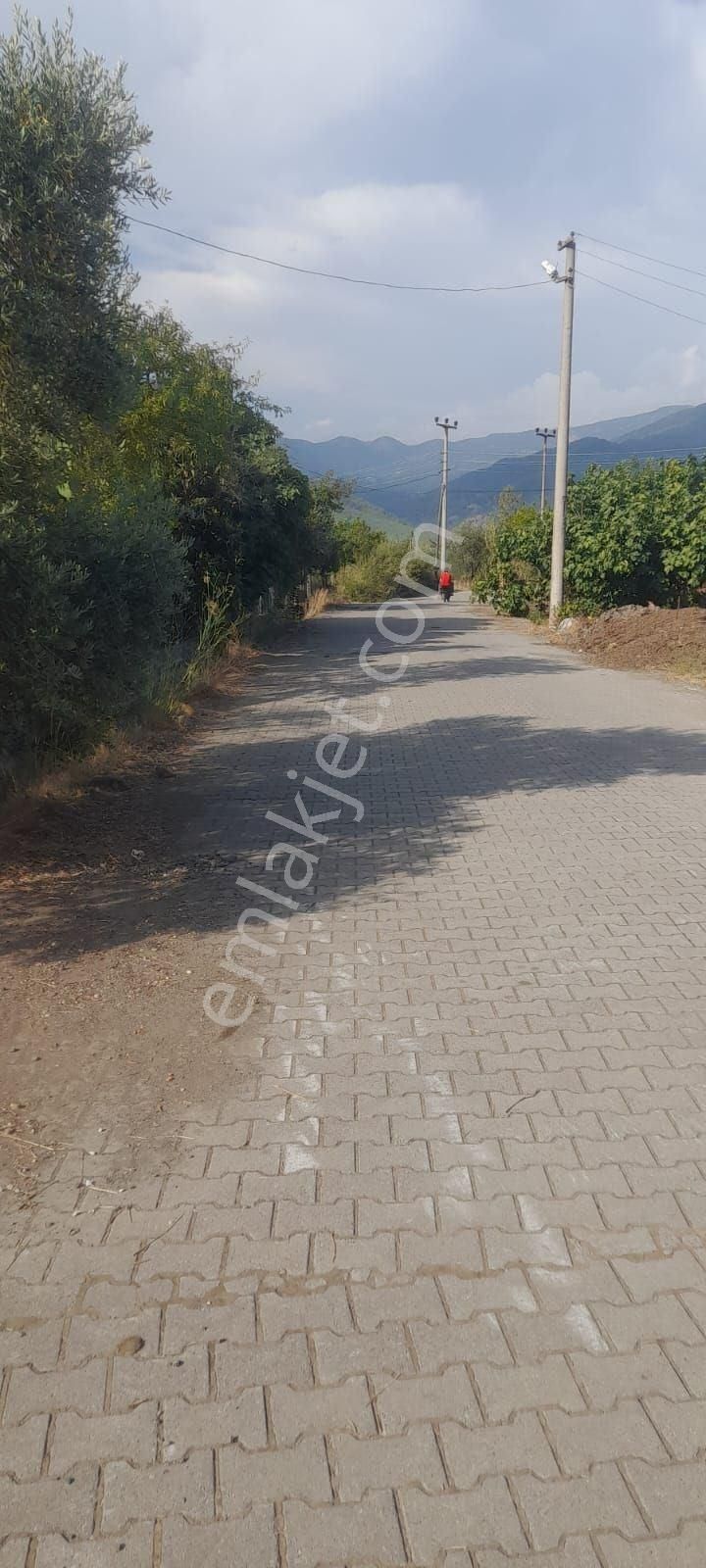 Muğla Köyceğiz Toparlar Mh 930m2 İmarlı Arsa - Görsel 13