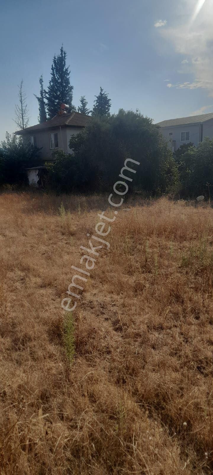 Muğla Köyceğiz Toparlar Mh 930m2 İmarlı Arsa - Görsel 2
