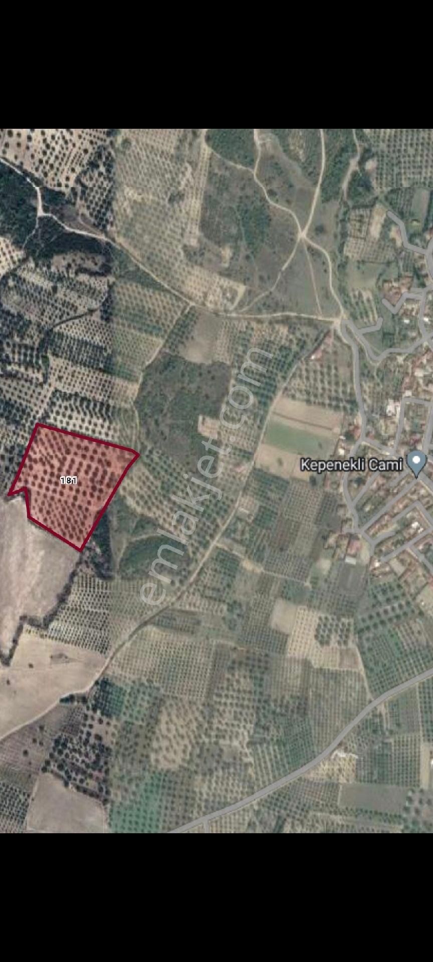 Saruhanlı Kepenekli Satılık Zeytinlik SARUHANLI KEPENEKLİ'de 9.000 m² satılık zeytinlik