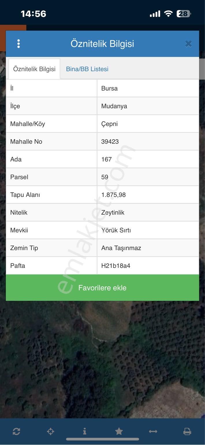 Mudanya Çepni Satılık Tarla  BURSA MUDANYA ÇEPNİ KÖYÜNDE ACİL SATILIK ZEYTİNLİK