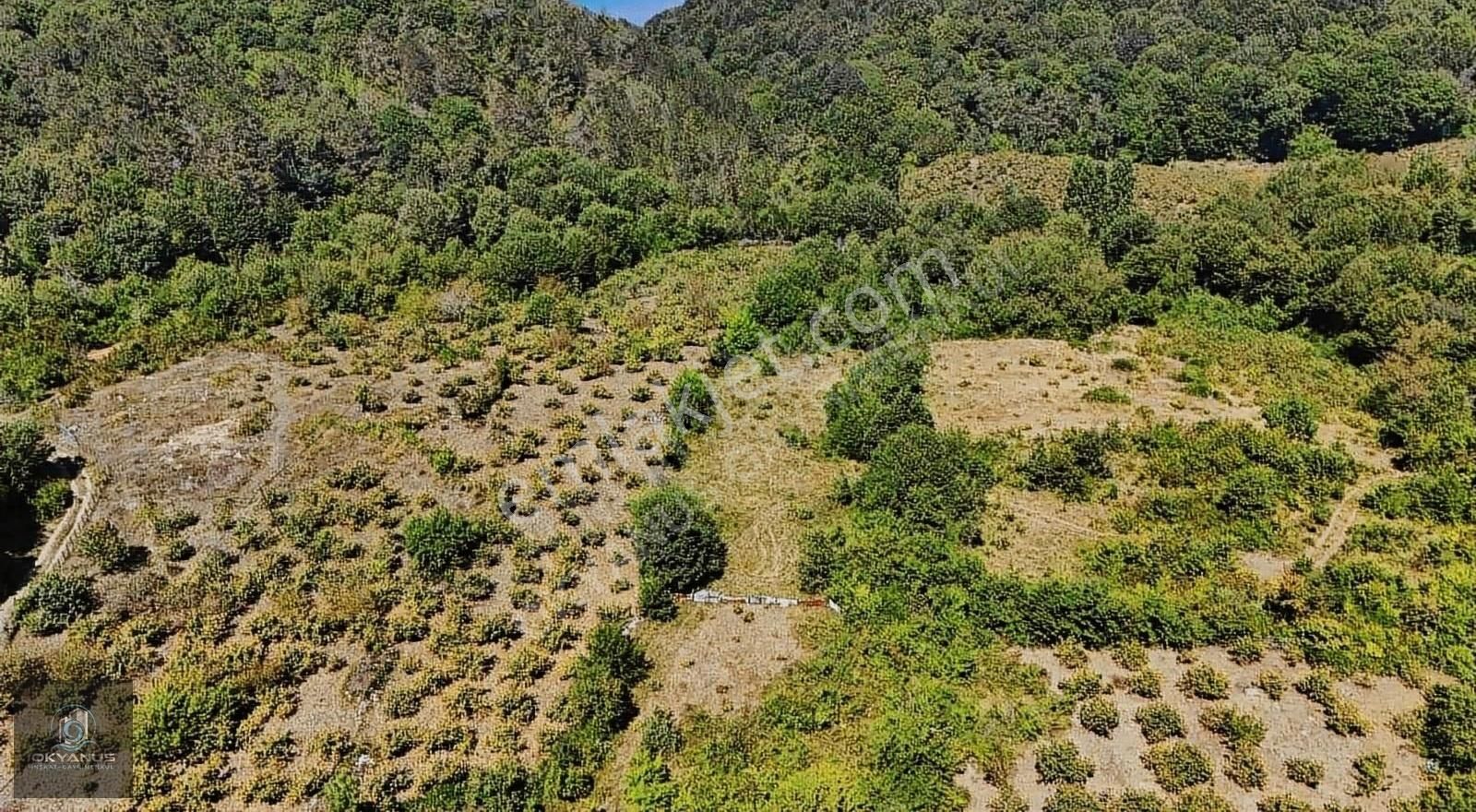 Bartın Merkez Güzelcehisar Köyü (Kapaklı) Satılık Bağ & Bahçe Okyanus'dan Güzelcehisar'da İmarsız Yolu Bulunan Tarla