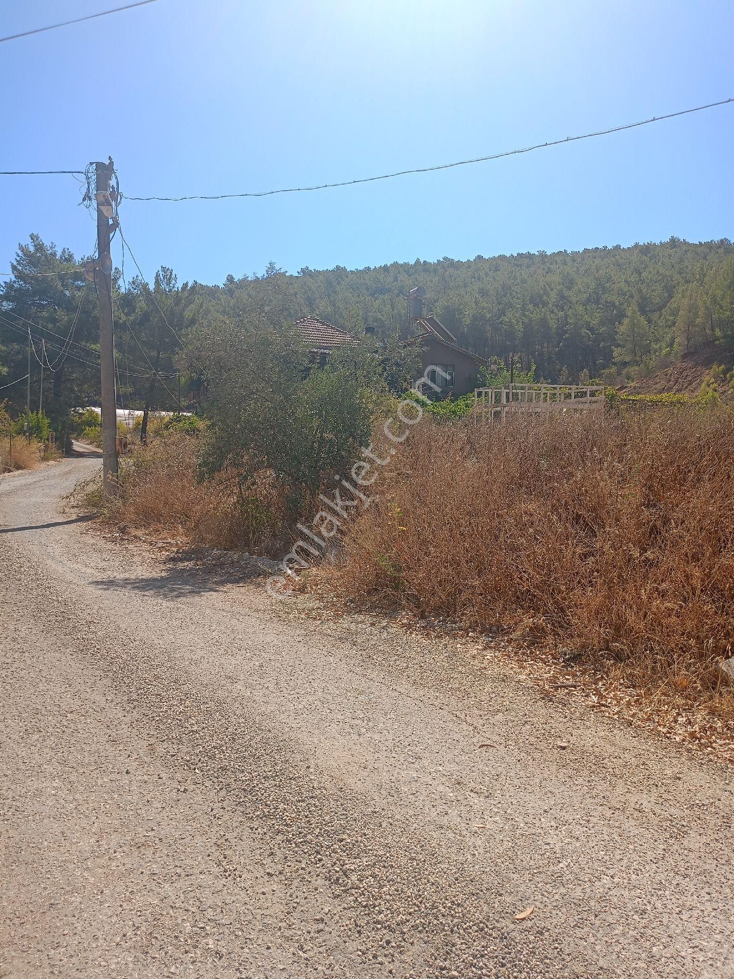 Kumluca Sarıkavak Satılık Tarla ev depo dükkan imalat yapmaya uygun