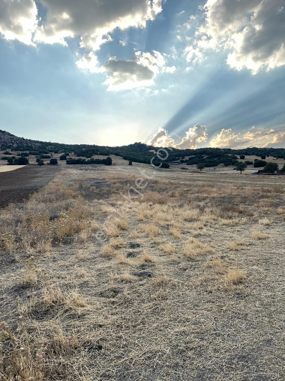 Antalya Elmalı Kışla Mahallesinde Yuva Asfaltına Yakın 5.300m2 Satılık Tarla - Görsel 6