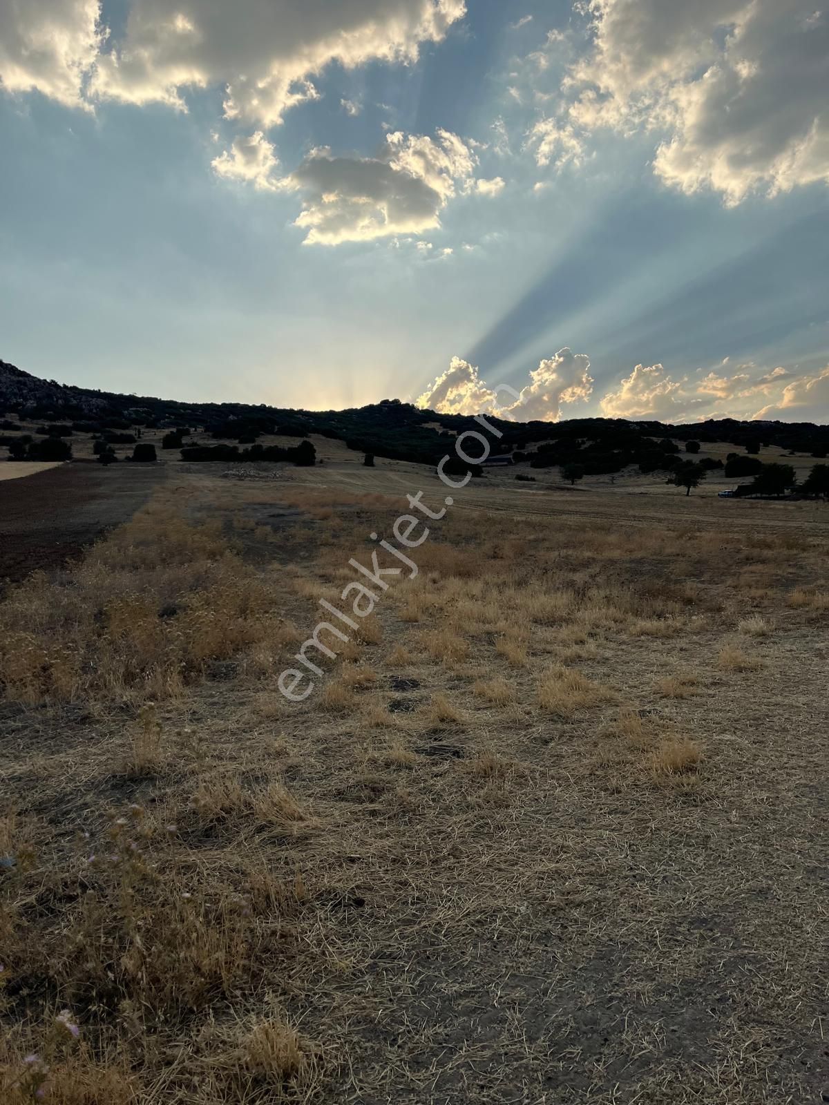 Antalya Elmalı Kışla Mahallesinde Yuva Asfaltına Yakın 5.300m2 Satılık Tarla - Görsel 3