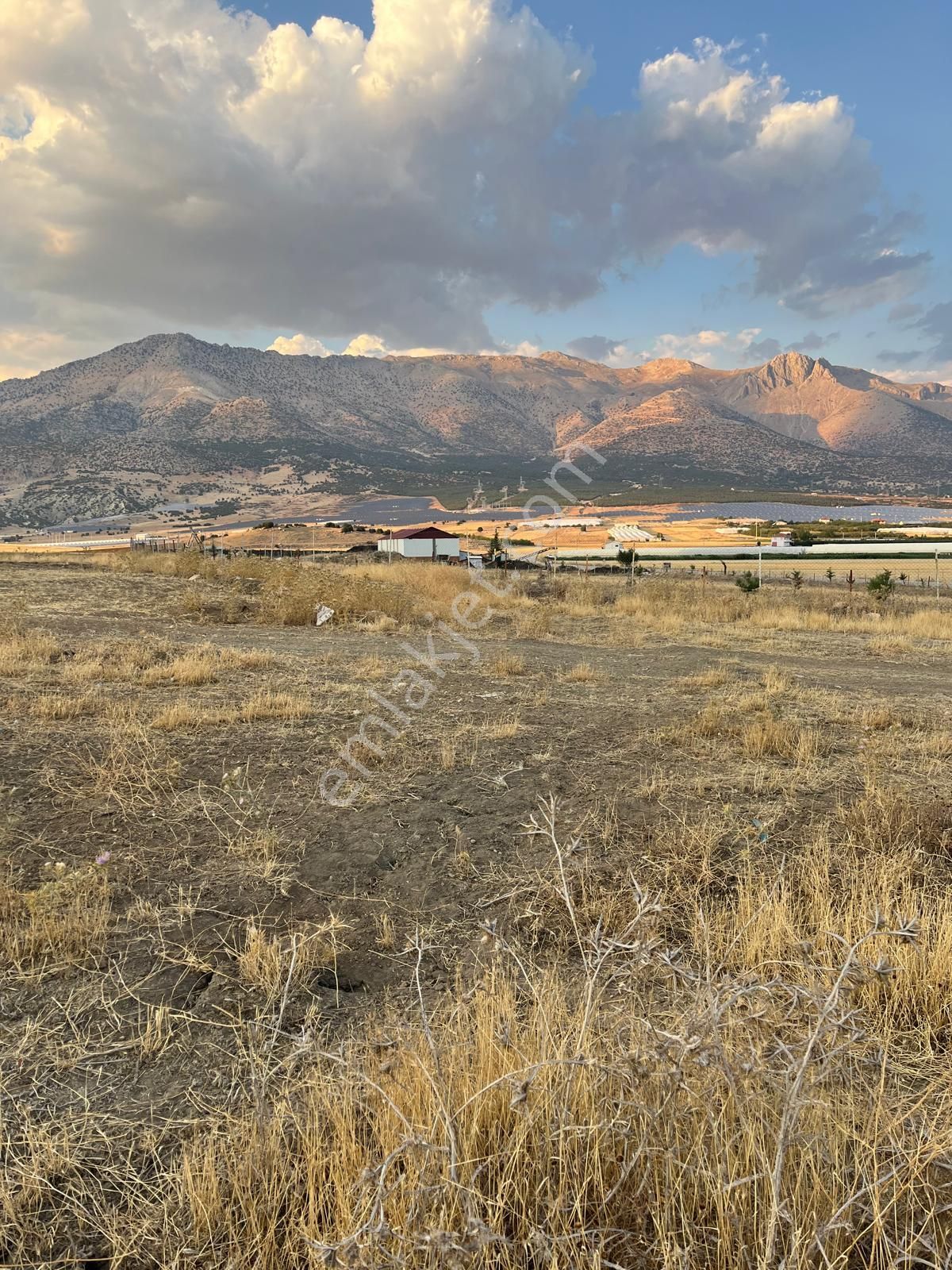 Antalya Elmalı Kışla Mahallesinde Yuva Asfaltına Yakın 5.300m2 Satılık Tarla - Görsel 12